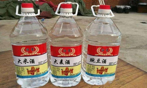 飲品包裝與酒類包裝全解析 常用酒精飲料包裝大盤點